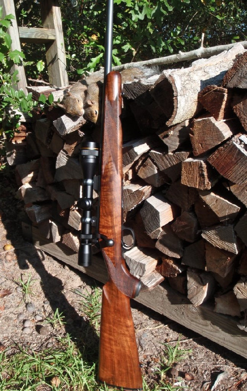 Kimber 2 in woodpile