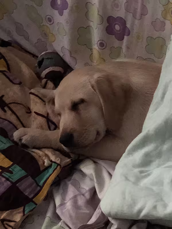 DAD7F335-01CB-451A-AD02-41016A49B5B7