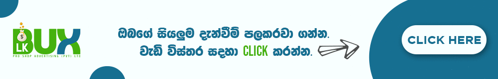 LKbux Advertising Plans