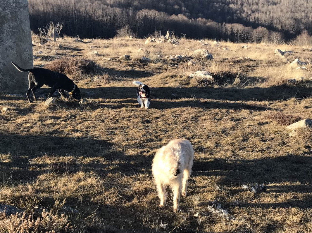 E543CBA2-171D-4AA7-A3DA-DB4375F961CB