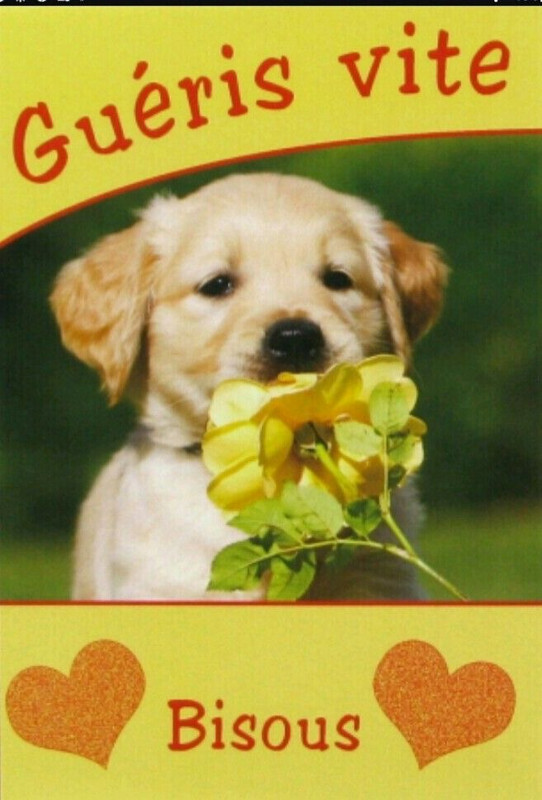 [Image: IMG-0542.jpg]