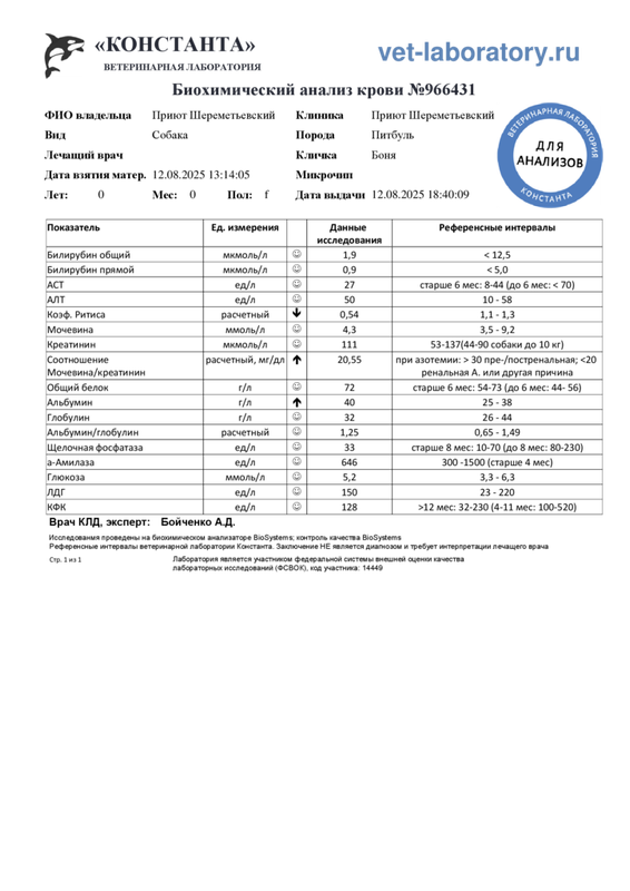 Биохимический анализ крови (966431)