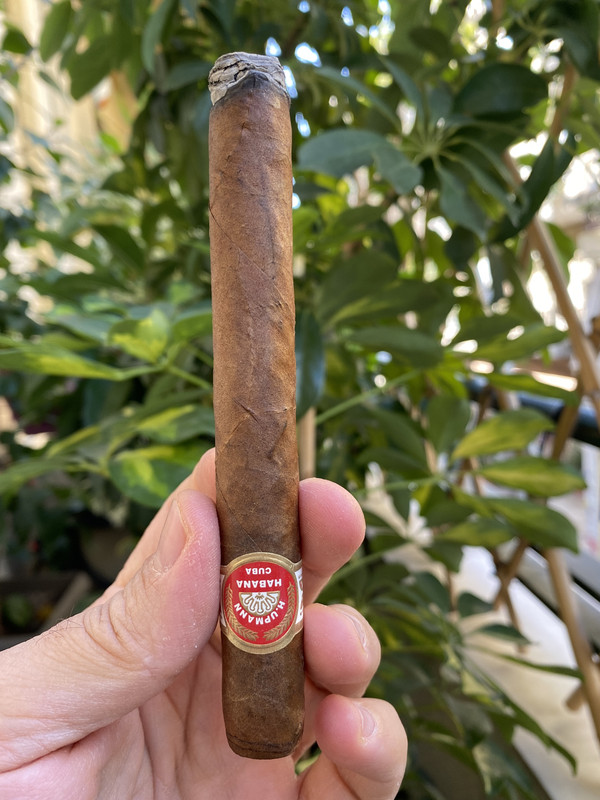 7C1C1509-D33D-4C3A-B922-2D915C10A5C5