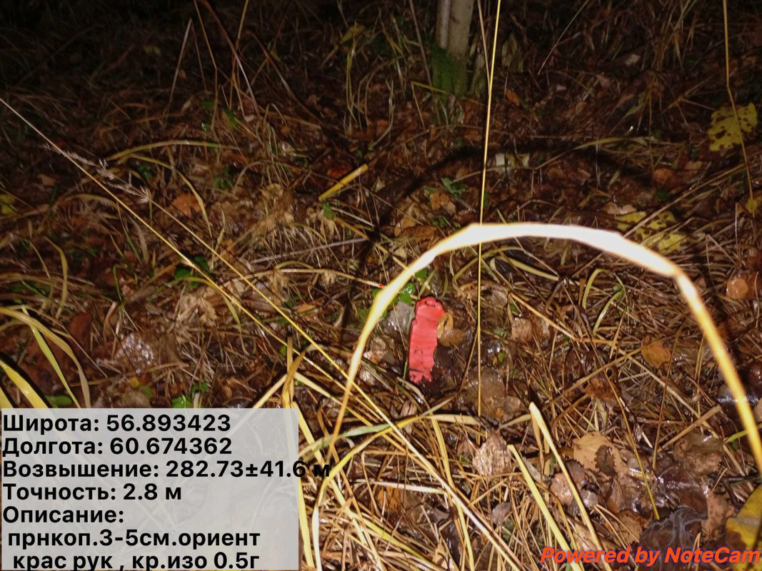 photo 26 2025 11 01 18 12 33