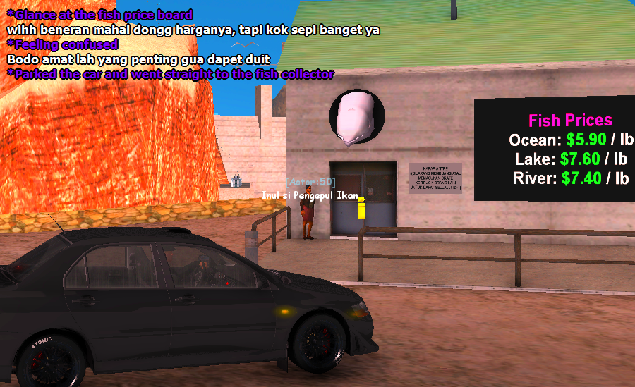 ss11.png