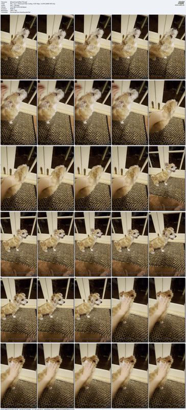 @AsianScandalNet (74).mp4