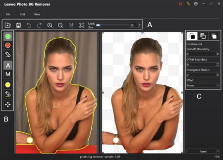 Leawo PhotoIns Pro 2.1.0.0 Multilingual