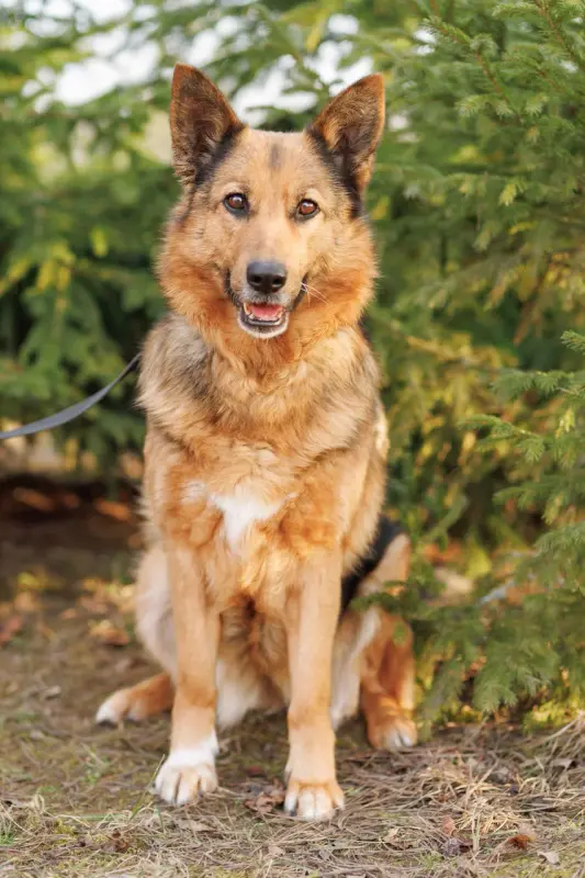 SdC_3xex_IHp90ZNEc3sdlbSiuWoYupyKad8RGd0qrB_nRd9_Sck0rWqBHaskxCw3_F5oQ-5ArCyZxG26C9H2Q==?uid=0&filen