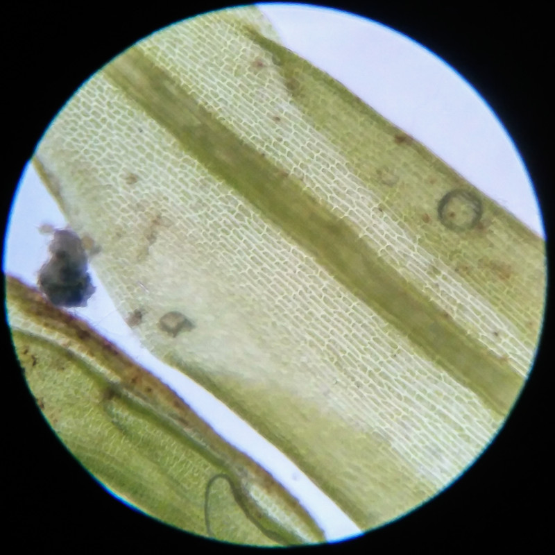 IMG 20250617 121910 HDR