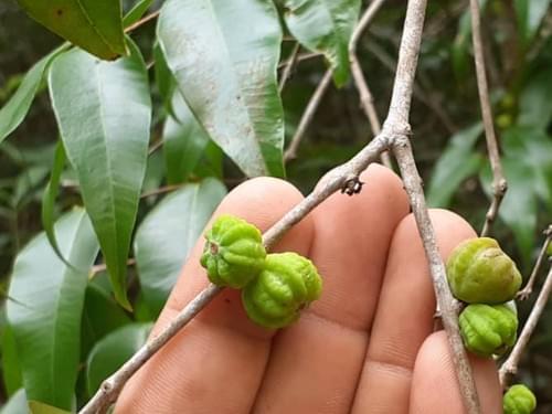 18A20ACB-5163-4C9D-BAE8-4C3FF0237F75