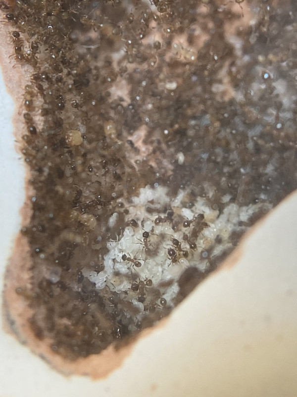 3D12862A-5A78-4E62-B0E9-4734A072B3A4