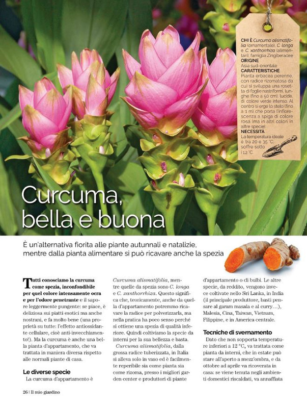 Il Mio Giar Dic 2022-Gen 2023 (3)