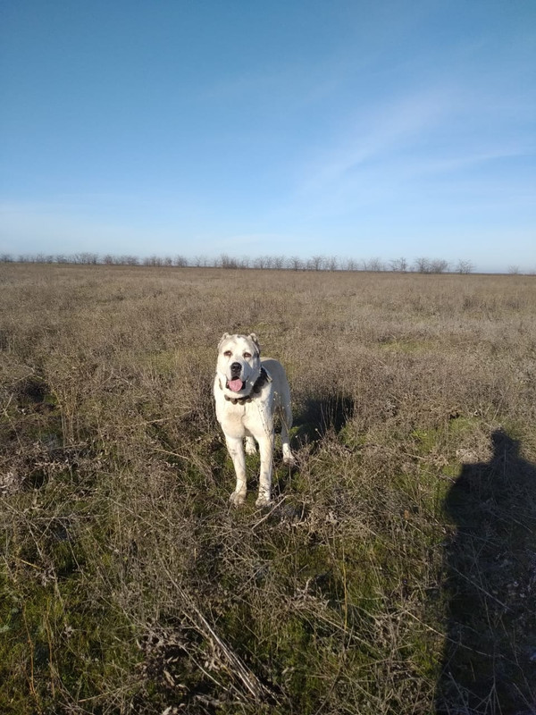 DE7F8B04-AA50-44D4-A394-A670B041CF64