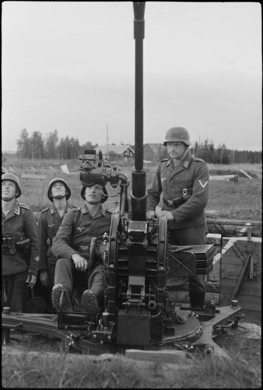 Lors d'une démonstration aéroportée du Luftlandegeschwader 1 (8.LLG 1) sur le terrain d'aviation de 