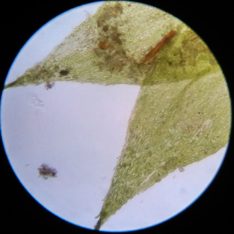 IMG 20250617 111758 HDR