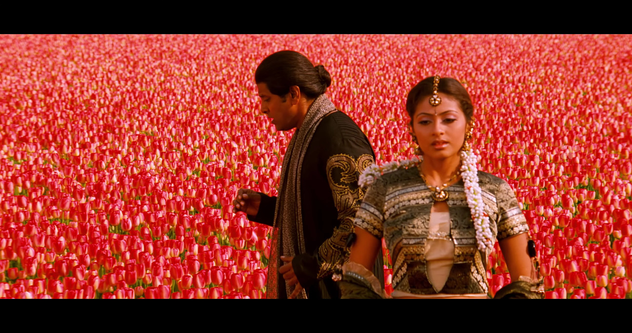 VideoCapture_20241122-200606