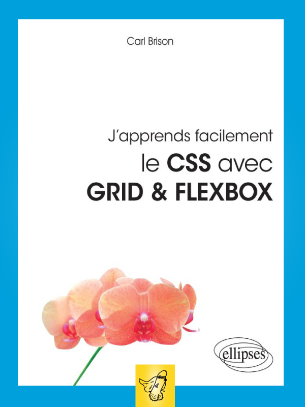 ellipses-Japprends-facilement-le-CSS-avec-GRID-et-FLEXBOX.jpg?042148