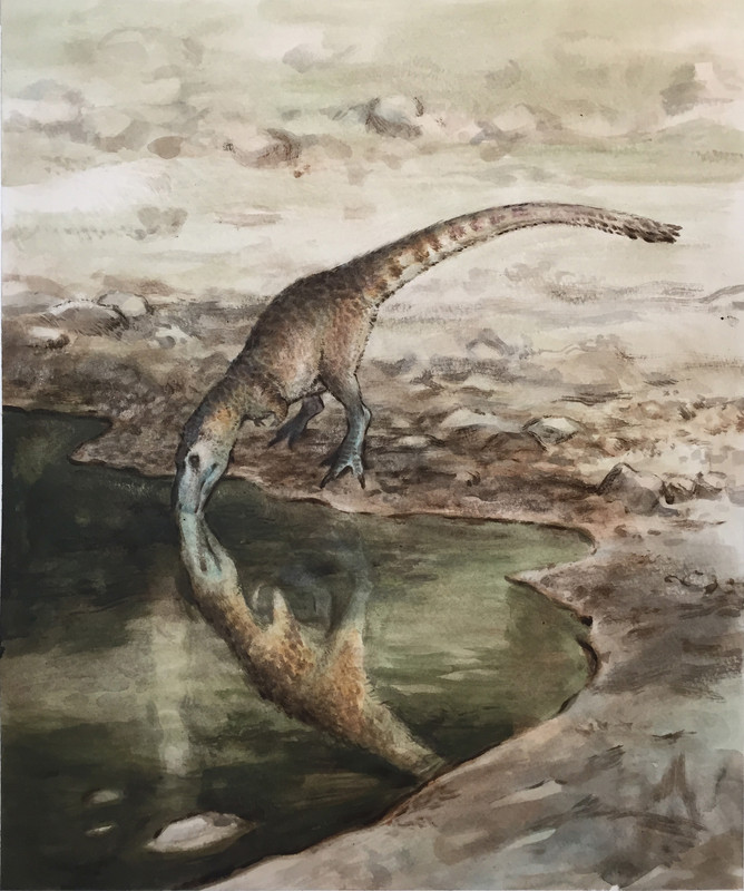 edb4f138243225.575a0c4e36794