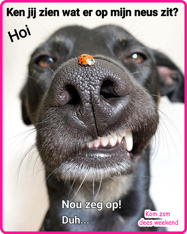 wee