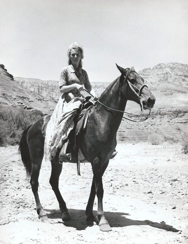 Inger Stevens_ma51