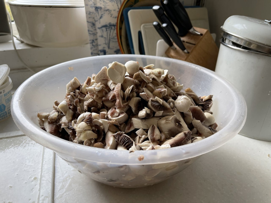 74E952B8-9507-480C-A738-B3AAFDADB2F3