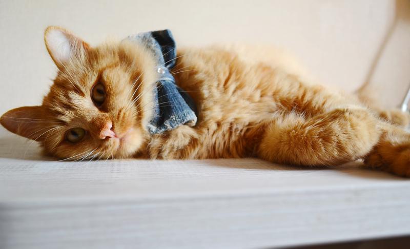 DSC_1458.JPGгнгн.jpg11