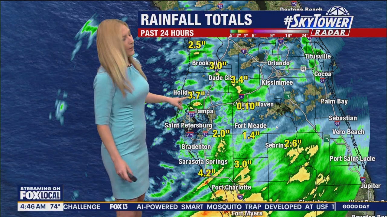 FOX13s Good Day Tampa Bay at 400am_20240614_09000930.ts_snapshot_47.28.921
