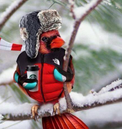 Pas chaud grande taille