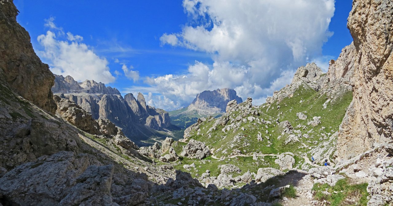 https://i.postimg.cc/WzhHjdNv/215-IMG-1255-IMG-1257.jpg