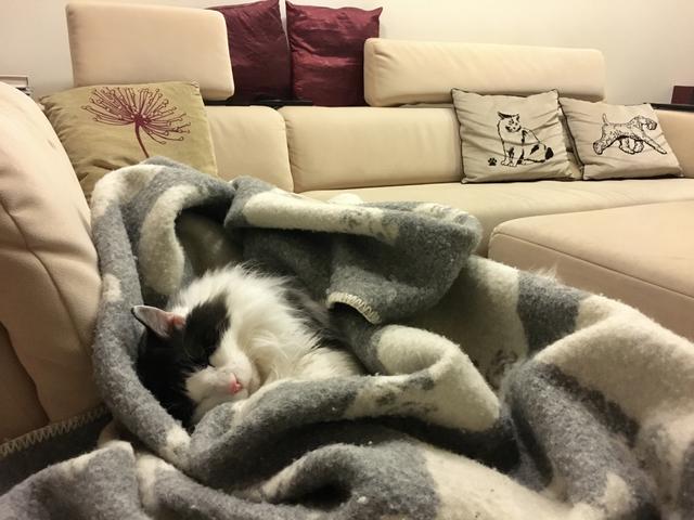 E1-F68-A56-38-BB-4599-B427-BCD44-A81-A22