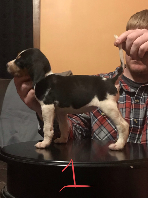 DCF57B06-FEF6-4860-A558-664CEFF23360