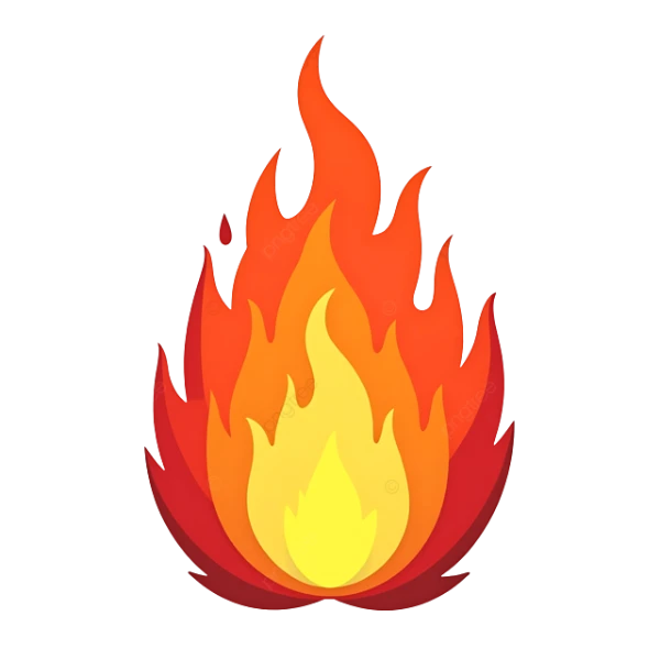 lionsbadmintoncoaching.pages.dev favicon