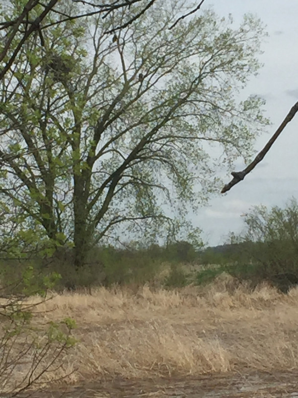 10446C4C-1B78-4EAF-BFE7-141539BC8A3F