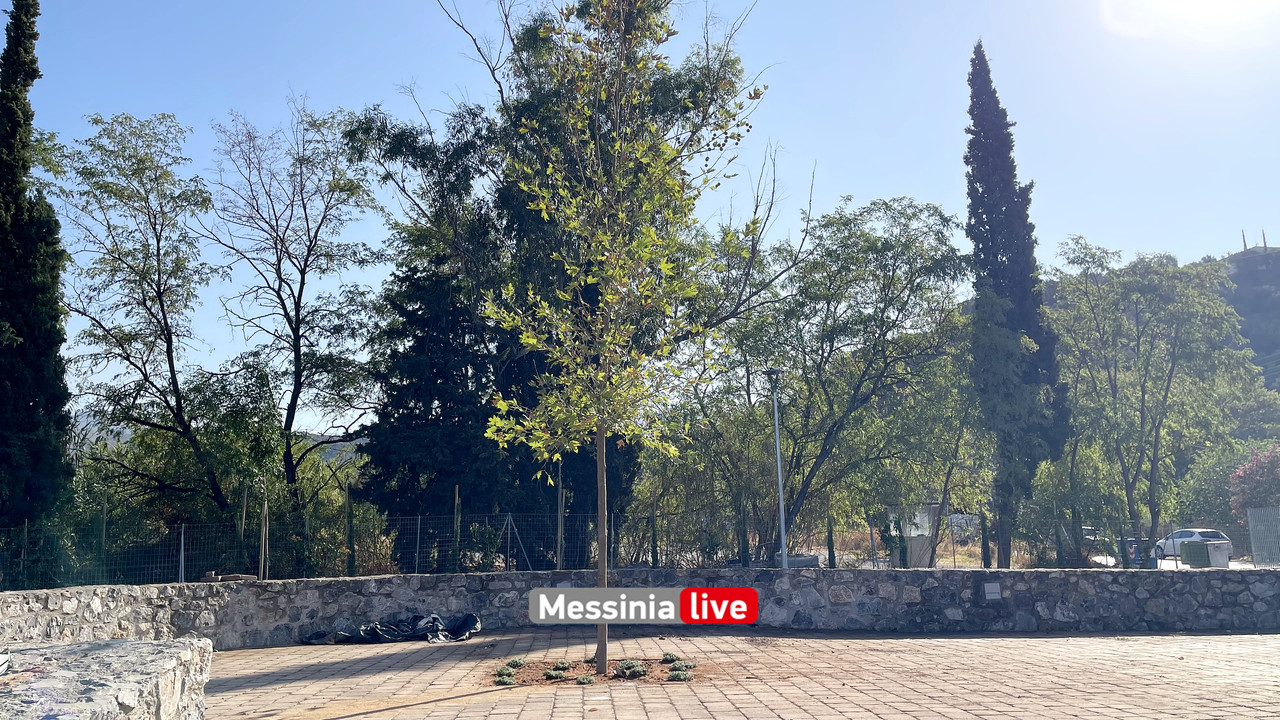 ΠΡΑΣΙΝΟ ΘΕΑΤΡΟimage00011