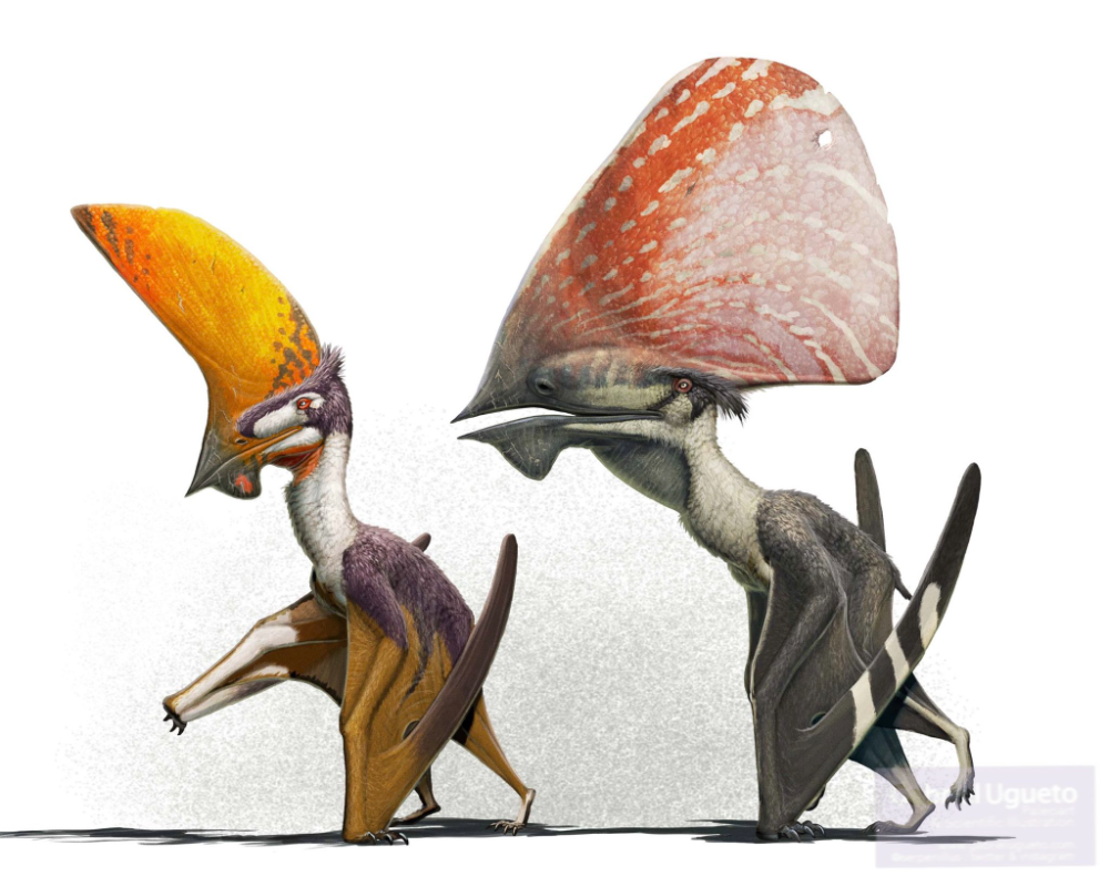 98257e298593a623414f6727e0b01f39