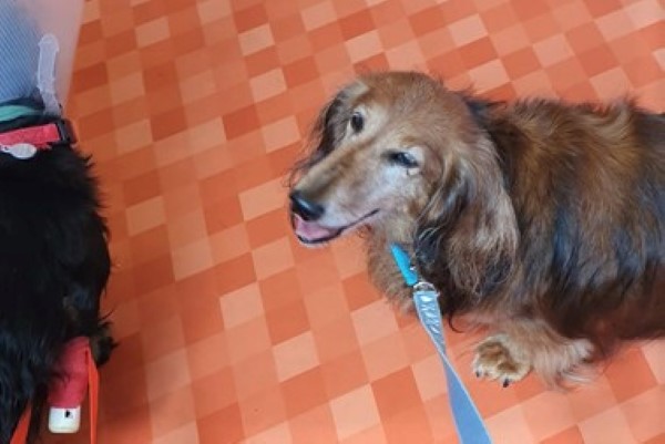 [Image: 20230802-143406.jpg]