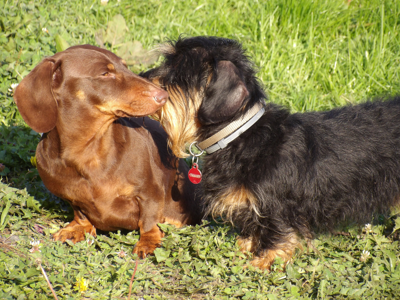 [Image: 125-0232.jpg]