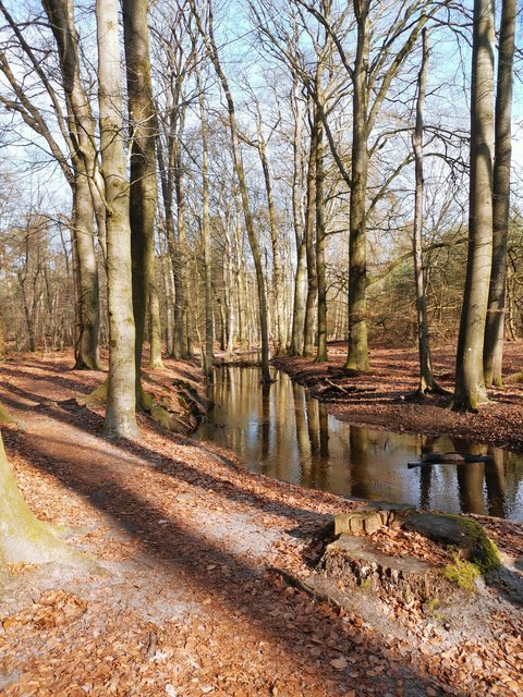 Afbeelding