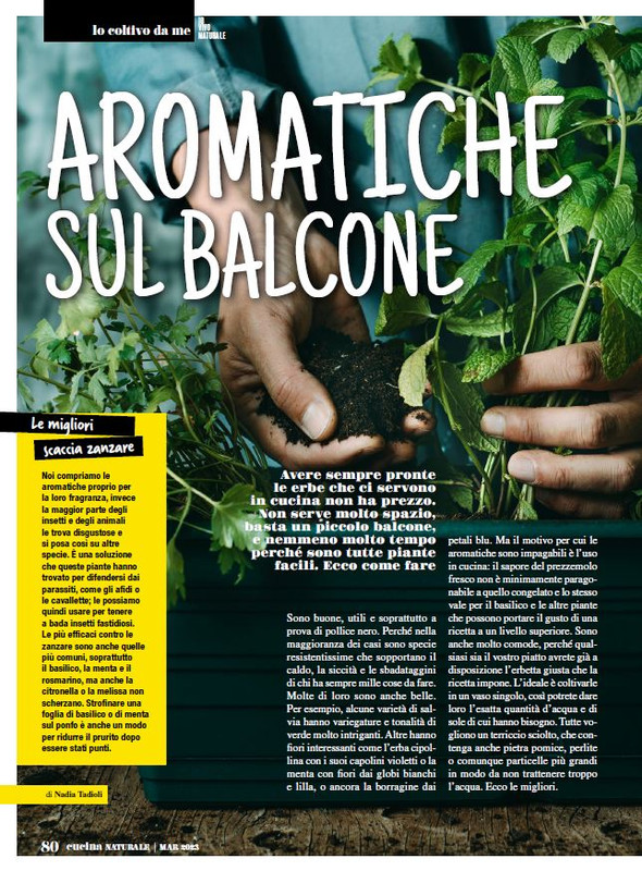 Cucina Nat Mar 2023 (11)