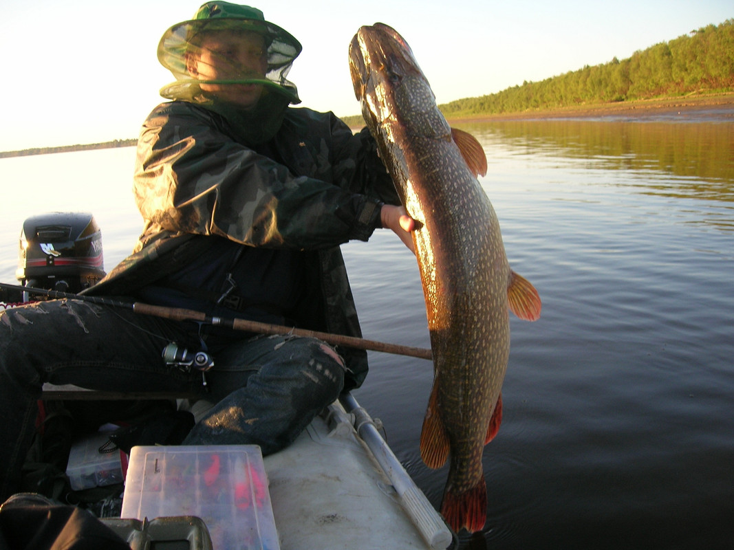 DSCN2182 джиг спиннинг мастер-класс Куляпин Андрей обучение судак щука рыбалка троллинг ловля катер 