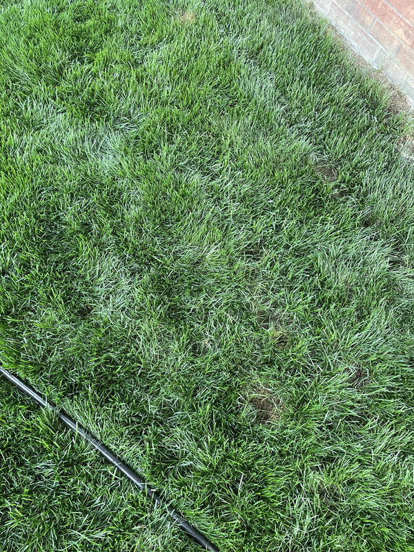 D416F8C6-A5B3-4B58-9CEF-4B6A810553CA