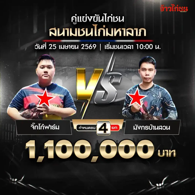 จิ๊กโก๋ฟาร์ม พบ มังกรบ้านสวน โปรแกรมไก่ชน สนามชนไก่มหาลาภ วันที่ 25 เมษายน 2569
