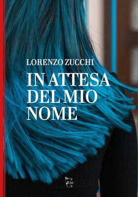 Lorenzo Zucchi - In attesa del mio nome (2026)