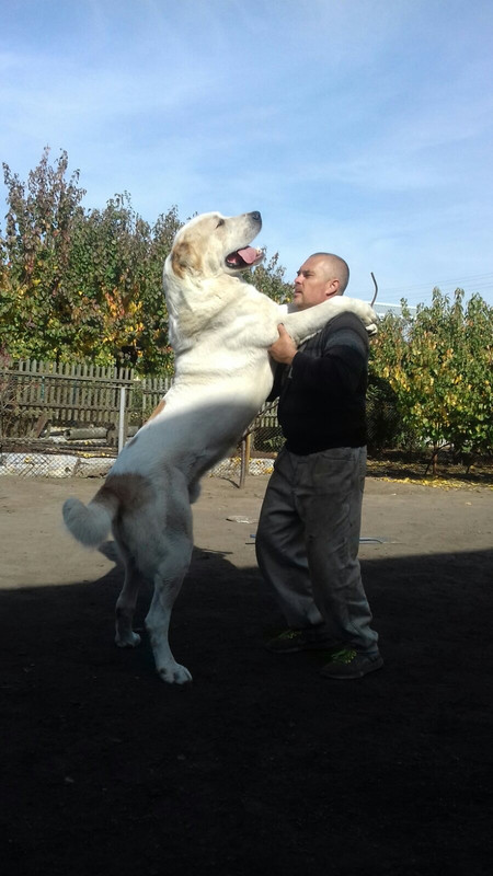 32A4DCE9-44D0-4A0A-B572-C7DB5A22ADF8