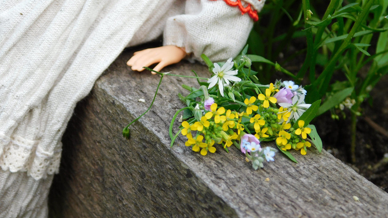 Дачное июль кудряшка , маус-машина и природа 048