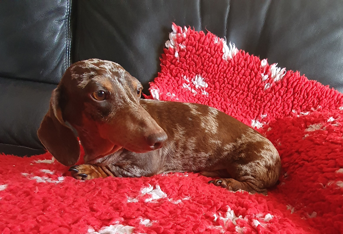 [Image: 20211008-154657.jpg]