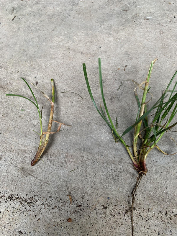 90FB2C8F-5981-4D9C-80C8-934B4EAA29BD