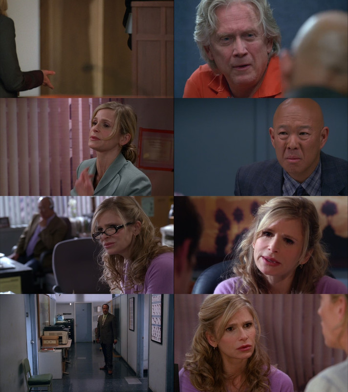 The Closer S05 1080p WEBRip x265 HiQVE