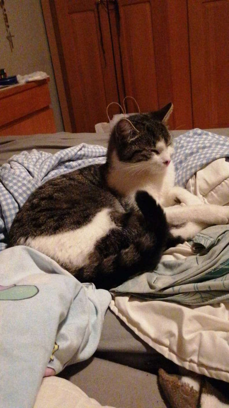 IMG-20240406-WA00231