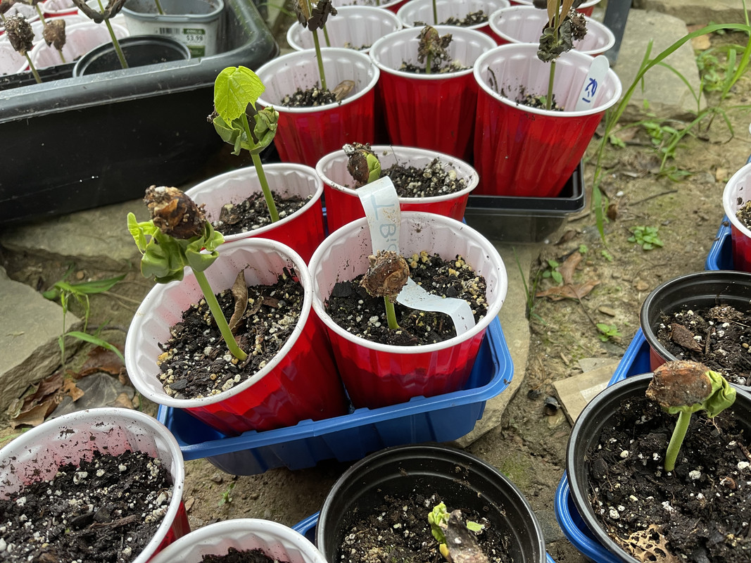 F5950B5A-9D00-4D9A-8F04-131D90CDE22C